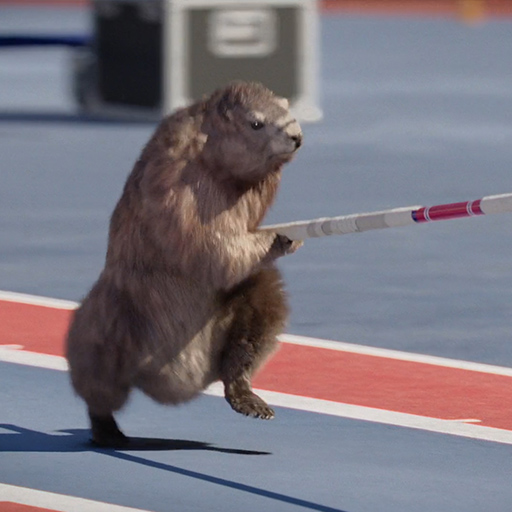 ContentImageSquare_GalleryMenu_France3_001